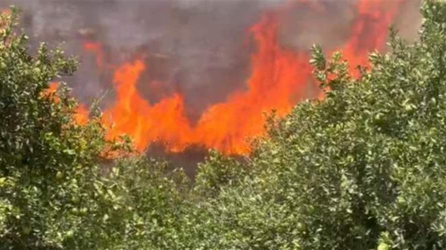 حريق كبير في خراج بلدات شبطين والعلالي ومراح الحاج..والأهالي يناشدون الجيش والدفاع المدني