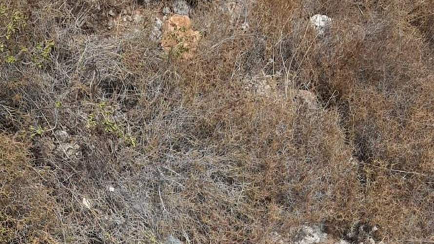 Lebanese Army finds main body of missile from Israeli Strike in Miryata forests