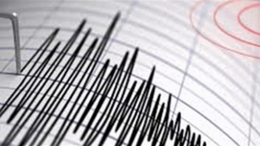 Over a dozen injured in 4.8 magnitude earthquake in western Syria