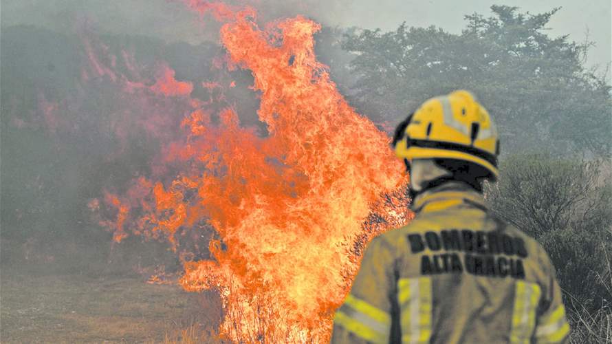 Bolivia declares national emergency in response to forest fires