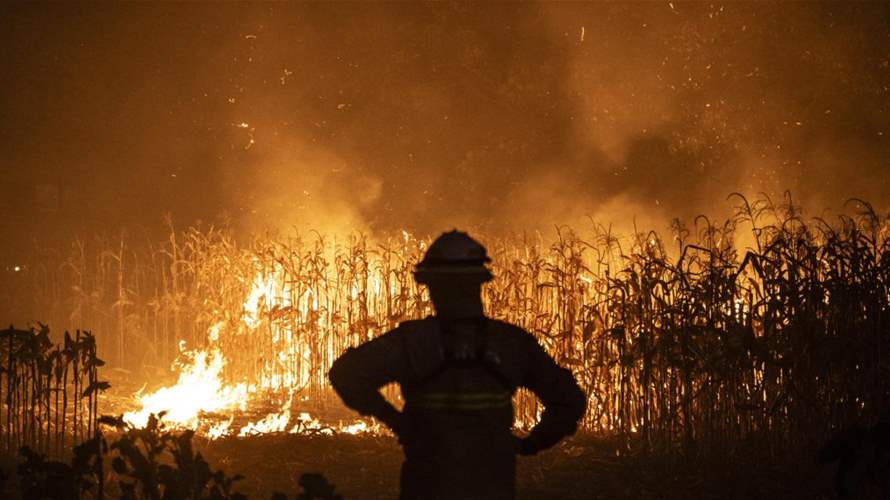 البرتغال تطلب المساعدة من إسبانيا والمغرب في إطفاء حرائق غابات ضخمة