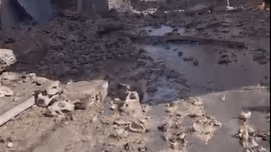 Israeli airstrikes cause destruction in Nabatieh market, South Lebanon (Video)