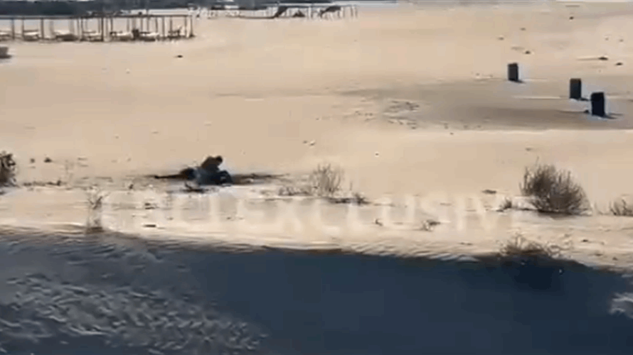 One killed and one injured in Israeli strike on Tyre beach (Video)  