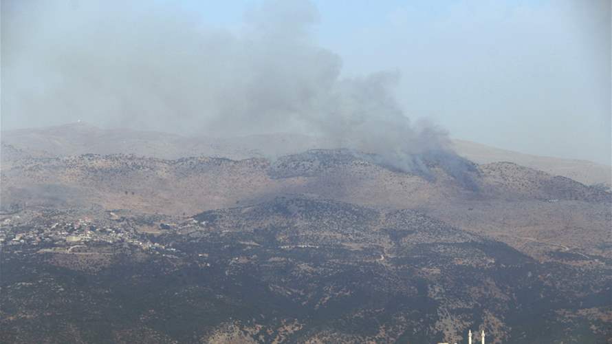 Lebanon reports one person killed in Israeli strike on Shebaa in south