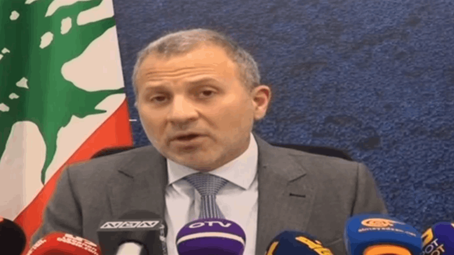 Gebran Bassil reaffirms Shebaa Farms as Lebanese, urges Syrian recognition