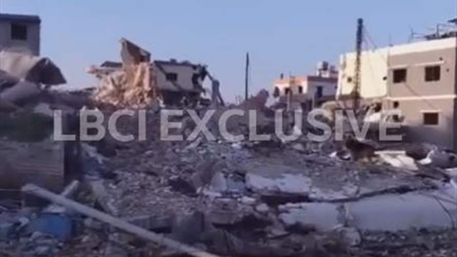 LBCI documents widespread destruction in Naqoura, south Lebanon (Video)