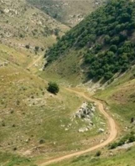 Israeli army abducts Lebanese citizen in South Lebanon