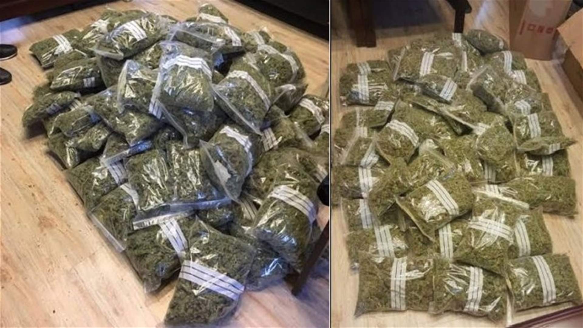 45 Kg of marijuana seized during raids in Bekaa