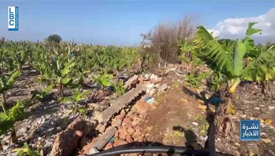 Israel withdraws slowly from South Lebanon: Destruction of the agricultural sector